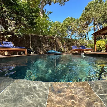 Villa La Familiale La Palmyre *