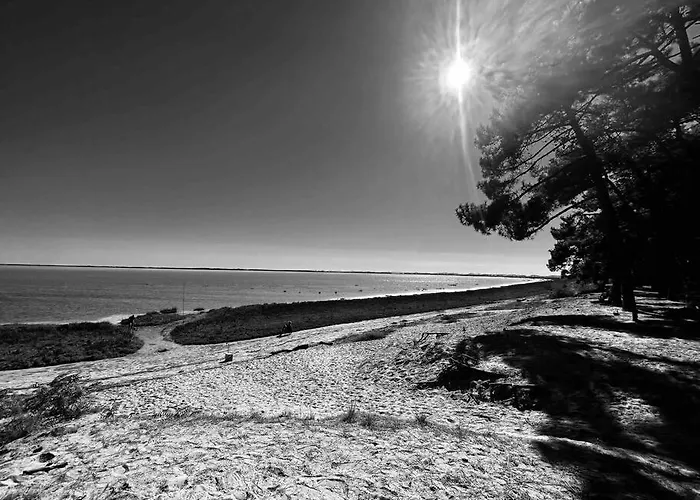 La Familiale La Palmyre * Les Mathes